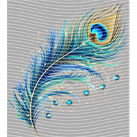 Animal Integration-DW 475